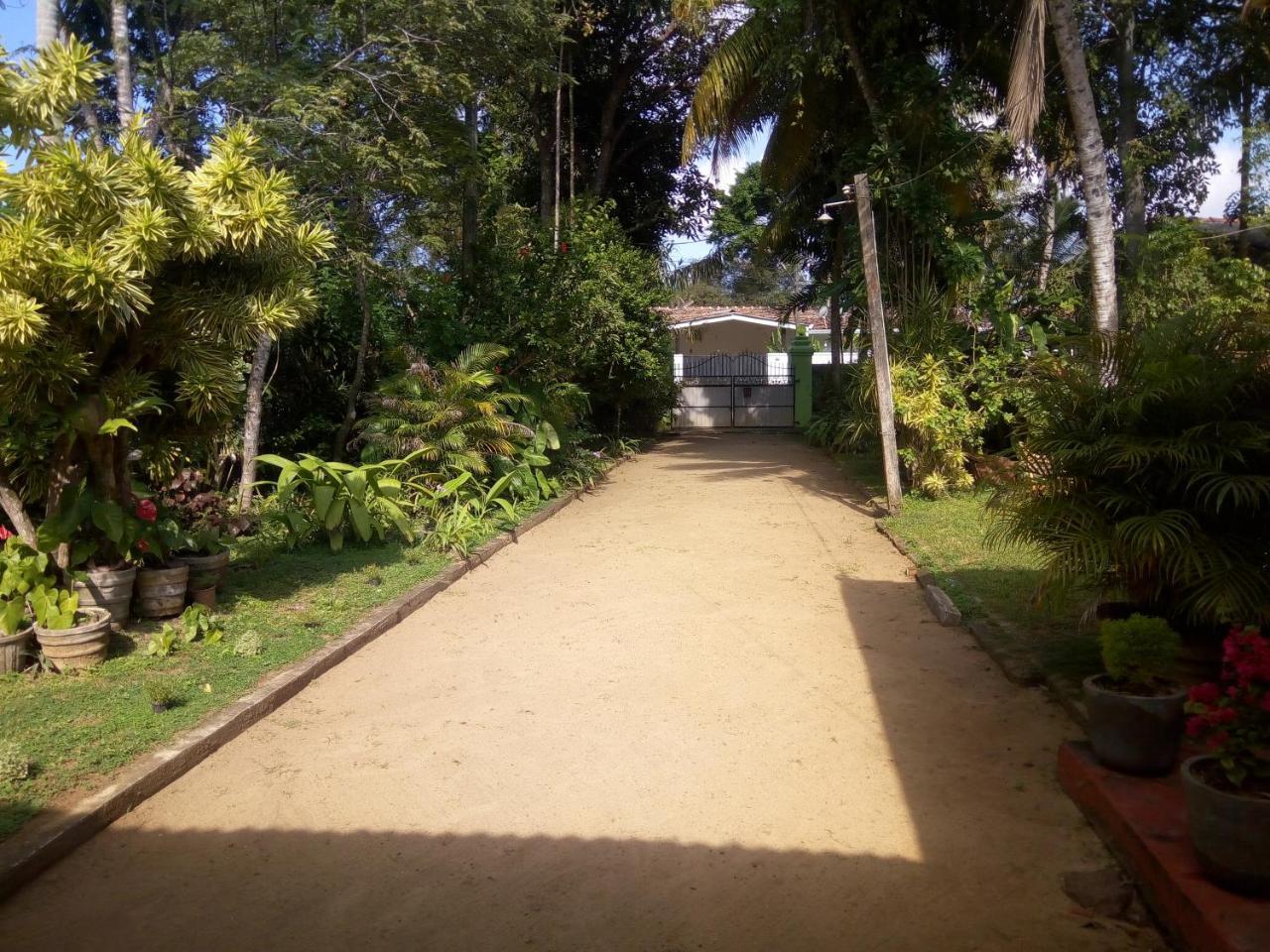 Shenya Villa Bentota Extérieur photo