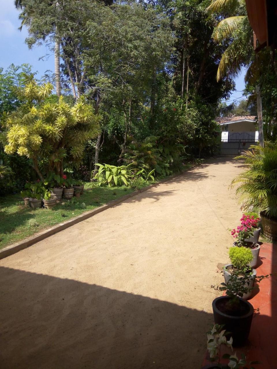 Shenya Villa Bentota Extérieur photo